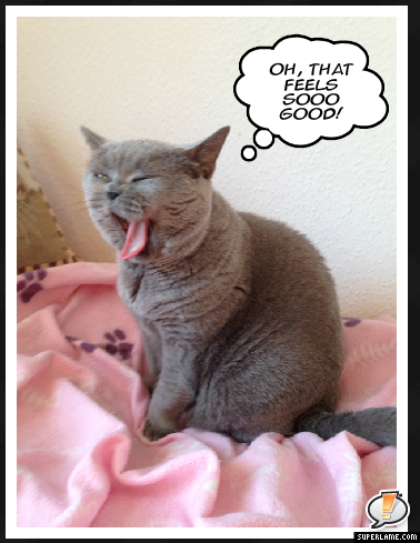 I love yawning... 