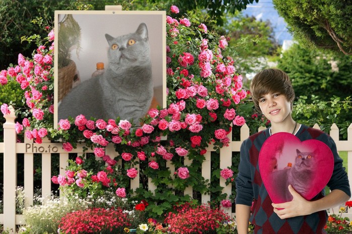 And while Justin Bieber seems to have a crush on Roxy...